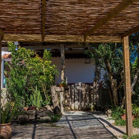 La Casa De Los Algarbes 塔里法 外观 照片